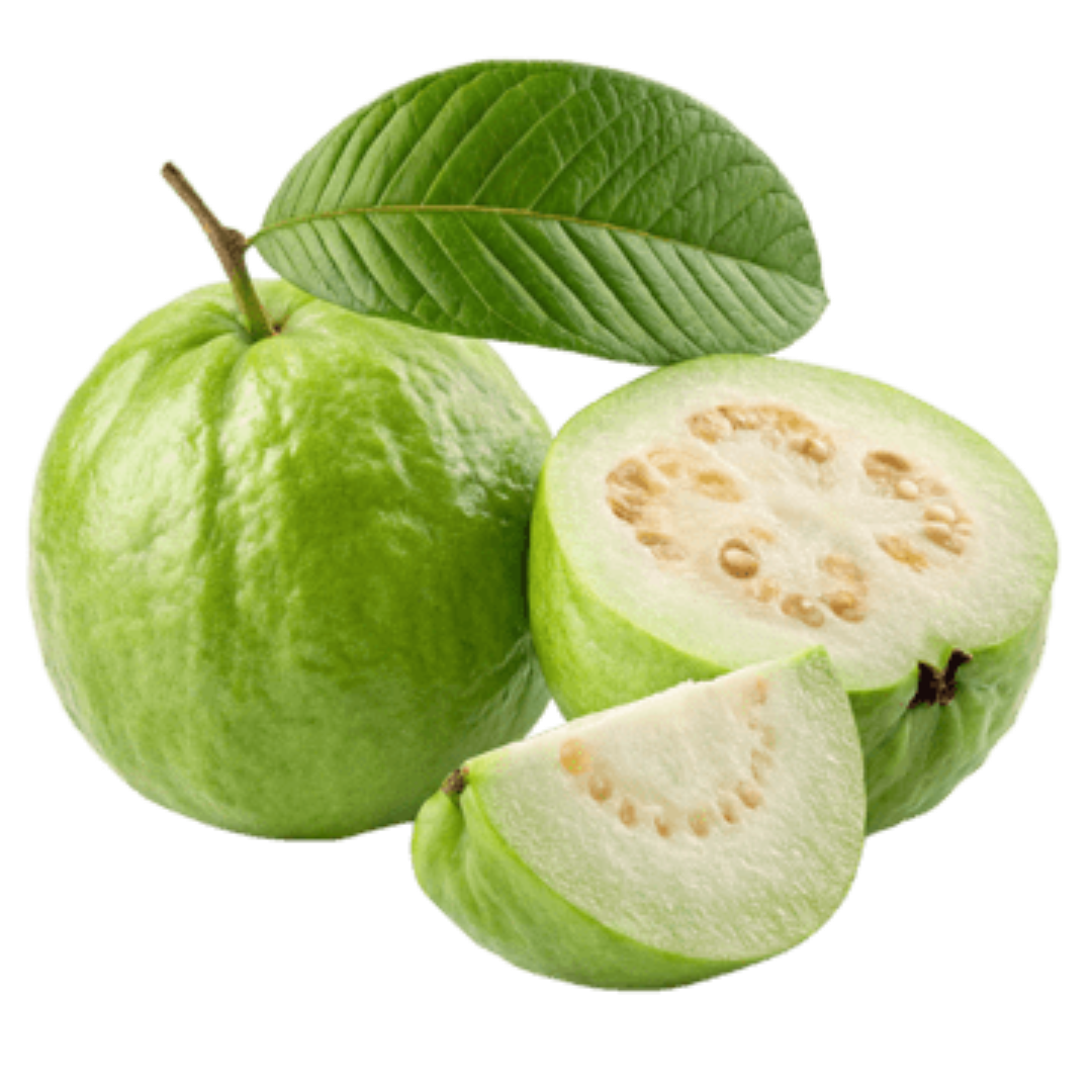 FRESH GUAVA